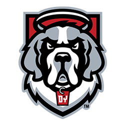 D'Youville University Men's Soccer Camps